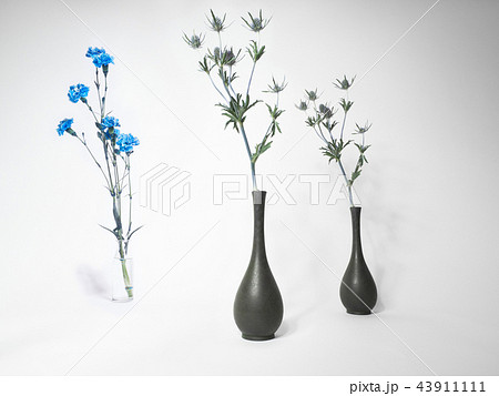 花 一輪挿し Flower フラワー 花瓶 バランス 空間の写真素材