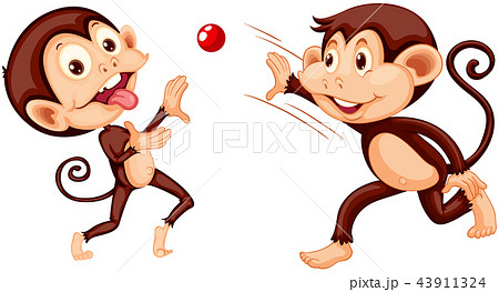 Monkey playing ball on white background 43911324