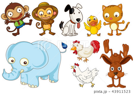 A set of flat animals 43911523