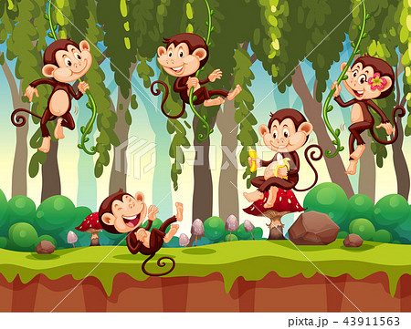 Monkey In The Jungleのイラスト素材