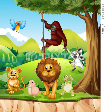 Wild animals in the jungle 43911651