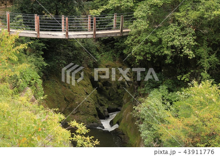 小国町下城の鍋釜の滝公園風景 小国町下城の鍋釜の滝公園風景 43911776