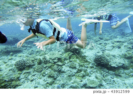 マリンレジャーを楽しむ子ども達 43912599