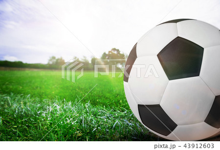 Close up of soccer ball on marking line Close up of soccer ball on marking line 43912603