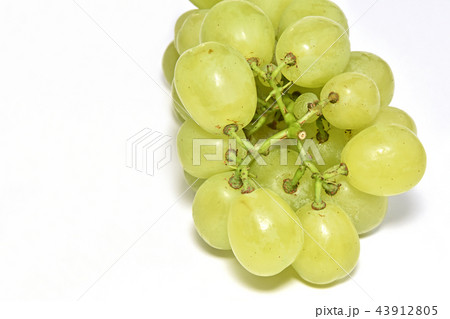 ぶどう（ロザリオ・ビアンコ） 43912805