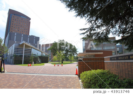 和洋女子大学 市川市 和洋女子大学 市川市 43913746