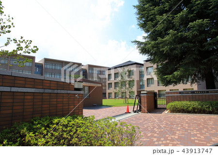 和洋女子大学 市川市 和洋女子大学 市川市 43913747