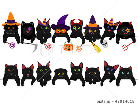 かわいい黒猫たちのボーダーセット ハロウィンのイラスト素材