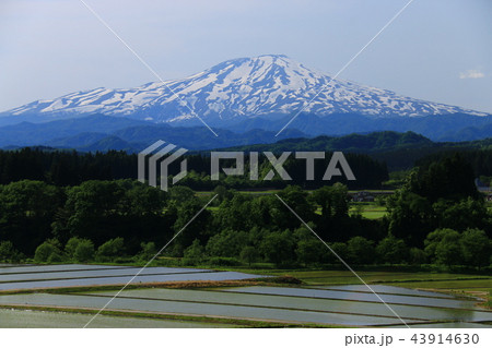 田園と鳥海山がある風景 43914630