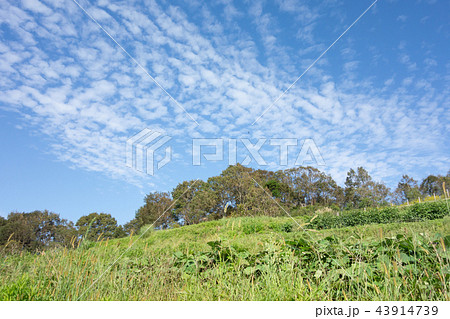あいな里山公園 43914739