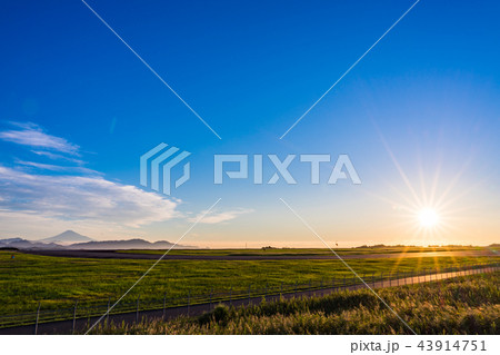 （静岡県）富士山静岡空港　滑走路と富士山　日の出 43914751