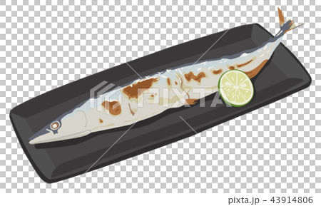 サンマのイラスト 秋刀魚は秋が旬の日本の焼き魚 のイラスト素材