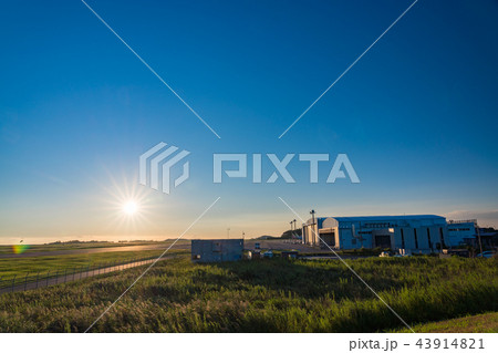 （静岡県）富士山静岡空港　ターミナルビル　日の出 43914821