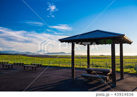 (静岡県)富士山静岡空港展望スペース 滑走路と富士山 (静岡県)富士山静岡空港展望スペース 滑走路と富士山 43914836