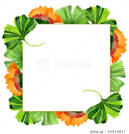 Colorful leaves ginkgo. Leaf plant botanical garden floral foliage. Frame border ornament square. Colorful leaves ginkgo. Leaf plant botanical garden floral foliage. Frame border ornament square. 43914837