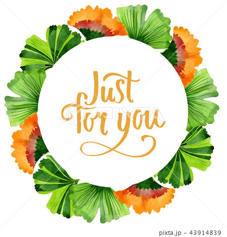 Colorful leaves ginkgo. Leaf plant botanical garden floral foliage. Frame border ornament square. 43914839