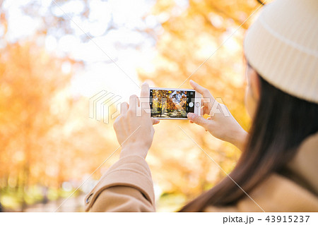 スマホで紅葉を撮影する女性の手の写真素材