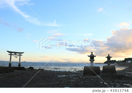 不知火海の中に立つ鳥居と灯篭のコンビネーション 不知火海の中に立つ鳥居と灯篭のコンビネーション 43915748