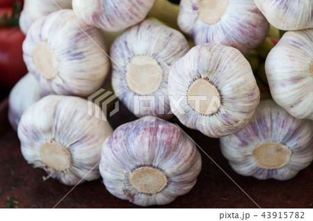 fresh tasty garlic fresh tasty garlic 43915782