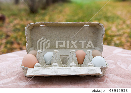 egg box outside egg box outside 43915938