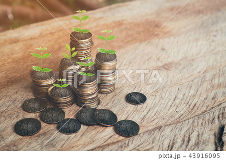 money, plant on pile coins growing concept. money, plant on pile coins growing concept. 43916095