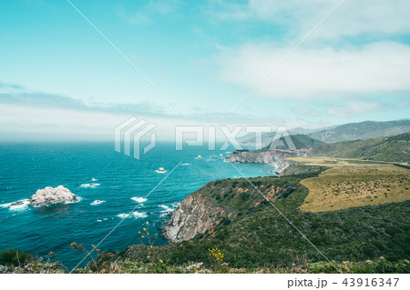 landscape of coastline with plant covered 43916347