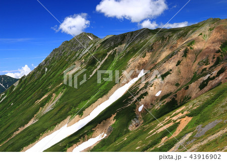 北アルプス 水晶岳山頂への道 北アルプス 水晶岳山頂への道 43916902