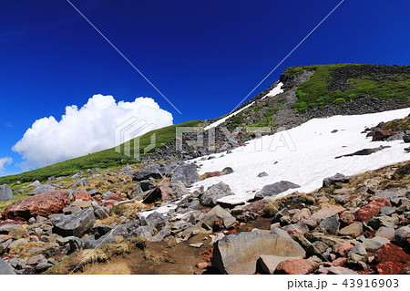 北アルプス　水晶岳山頂への道 43916903