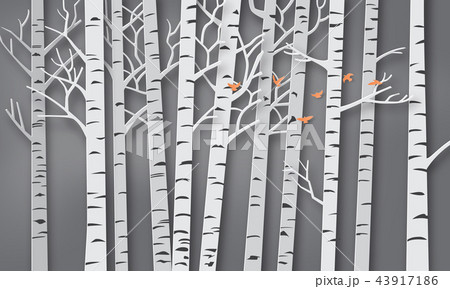 Bird are flying in the forest 43917186