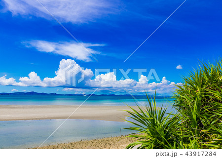 沖縄の海と夏の雲 43917284