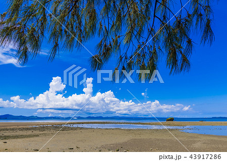 沖縄の海と夏の雲 沖縄の海と夏の雲 43917286