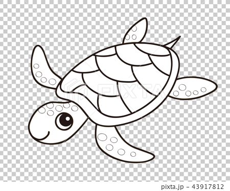 sea turtle coloring page  stock illustration 43917812  pixta