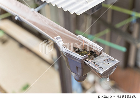 雨樋の詰まり 43918336