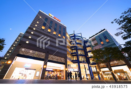 日本の横浜都市景観　センター南駅前の港北TOKYU S.C.など、街並みを望む （夜景）　 43918575