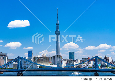 《東京都》スカイツリーと都市風景 43918750