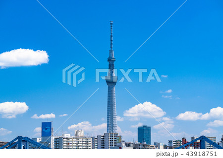 《東京都》スカイツリーと都市風景 《東京都》スカイツリーと都市風景 43918751