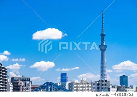 《東京都》スカイツリーと都市風景 《東京都》スカイツリーと都市風景 43918752