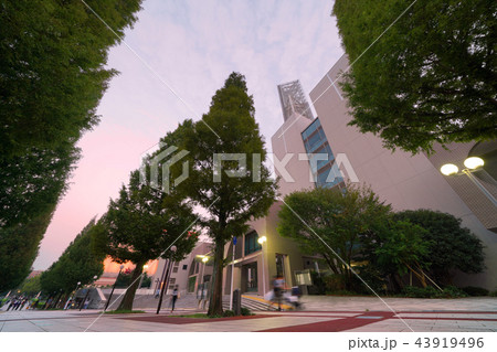 日本の横浜都市景観 横浜市都筑区総合庁舎など、街並みを望む 日本の横浜都市景観 横浜市都筑区総合庁舎など、街並みを望む 43919496