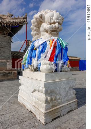 中国 チャイナ 磁器 43919692