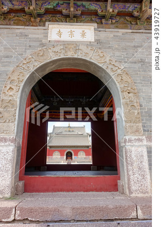 中国 チャイナ 磁器 43919727