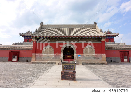 中国 チャイナ 磁器 43919736