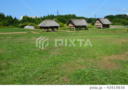 掘立柱建物（三内丸山遺跡／青森県青森市大字三内字丸山） 43919836