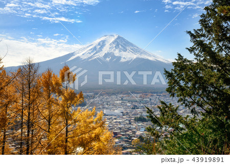 View of Mount Fuji with a beautiful foreground 43919891