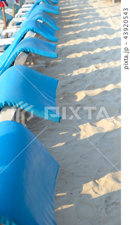 plank beds plank beds 43920543