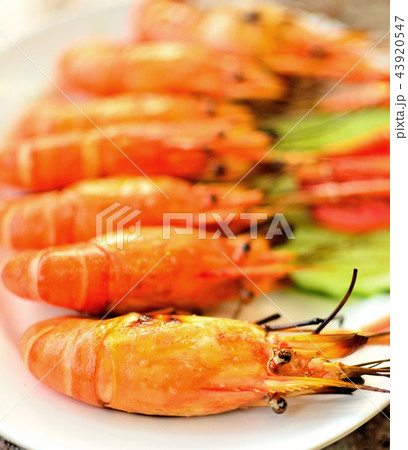 grilled shrimps grilled shrimps 43920547