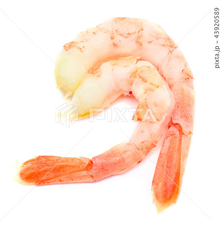 shrimps 43920589