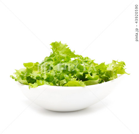lettuce 43920590