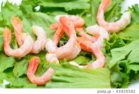shrimps 43920592