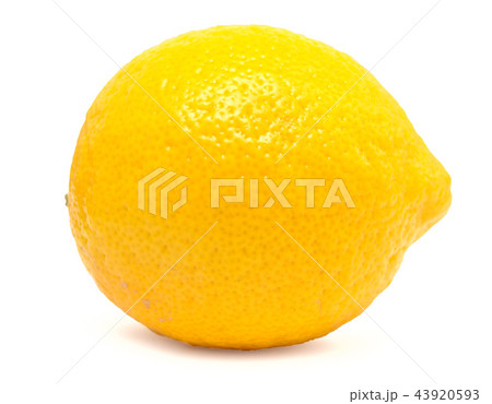 lemon 43920593