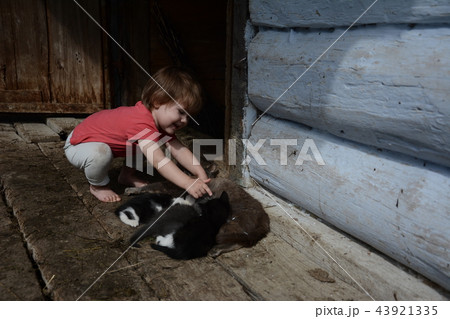 Beautiful girl in one of the Ukrainian villages Beautiful girl in one of the Ukrainian villages 43921335